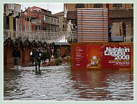 Acqua Alta record du 1er Décembre 2008 à Venise. “Noël 2008 dans la Lagune”, une affiche tout à fait à propos !