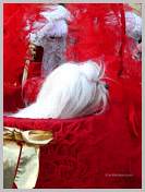 Carnaval de Venise 2008 - Les Costumes et Masques insolites