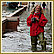 Photos Acqua Alta Record du 1er décembre 2008 à Venise