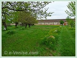 L'île du Lazzaretto Nuovo à Venise