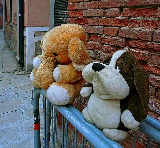 nounours corte nova venise