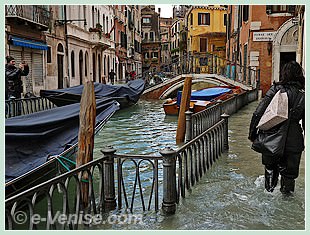 Acqua Alta Piazzetta Saint Marc Venise